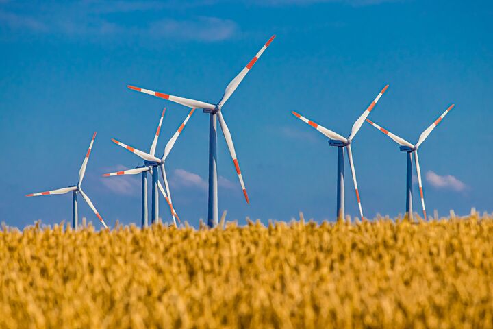 Windräder vor einem Getreidfeld und blauem Himmel.