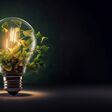 ai, generativ, glühbirne, energie, pflanze, energeewende, strom, öko, licht, elektrizität, kraft, led, electric, auffassung, gegenstand, symbol, darstellung, sparen, glühend, erfindung, angestrahlt, lampe, hell, innovation, glas, isoliert, technik, kreativität