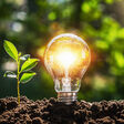 energy renewable light green concept lamp planet vision save plant tree nature soil environment earth background symbol white technology lightbulb power idea ecology global electricity solution warming innovation sustainable creative design growth bulb solar natural garden environmental development eco protect resource sustainability day sunshine growing closeup fresh leaf new young energy renewable light green concept lamp planet vision save plant tree nature soil environment earth background symbol white technology lightbulb power idea ecology global electricity solution warming innovation sustainable creative design growth bulb solar natural garden environmental development eco protect resource sustainability day sunshine growing closeup fresh leaf new young