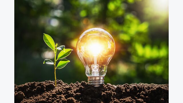 energy renewable light green concept lamp planet vision save plant tree nature soil environment earth background symbol white technology lightbulb power idea ecology global electricity solution warming innovation sustainable creative design growth bulb solar natural garden environmental development eco protect resource sustainability day sunshine growing closeup fresh leaf new young energy renewable light green concept lamp planet vision save plant tree nature soil environment earth background symbol white technology lightbulb power idea ecology global electricity solution warming innovation sustainable creative design growth bulb solar natural garden environmental development eco protect resource sustainability day sunshine growing closeup fresh leaf new young