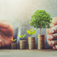 money investment growing concept business background stack finance invest save hand growth financial bank wealth currency saving coin salary plant female success loan businessman profit economy accounting banking investing nature grow green putting income debt symbol light leaf new economic cash sun care gold tax environment poor tree protect
