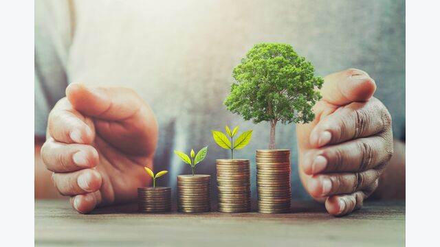 money investment growing concept business background stack finance invest save hand growth financial bank wealth currency saving coin salary plant female success loan businessman profit economy accounting banking investing nature grow green putting income debt symbol light leaf new economic cash sun care gold tax environment poor tree protect