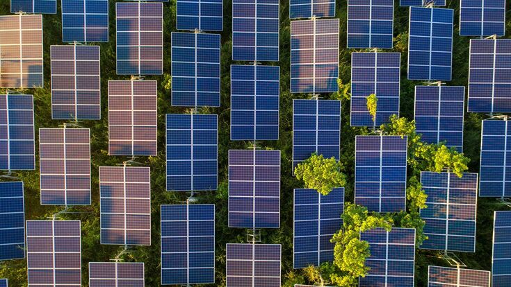 Top view of solar panels (solar cell) in solar farm with green tree and sun lighting reflect .Photovoltaic plant field.