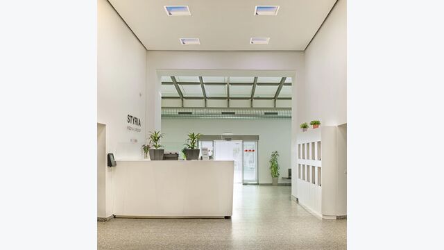 Mit NatureConnect bringt Signify Tageslicht und den zirkadianen Rhythmus ins Foyer des Wiener Büros der Styria Media Group.