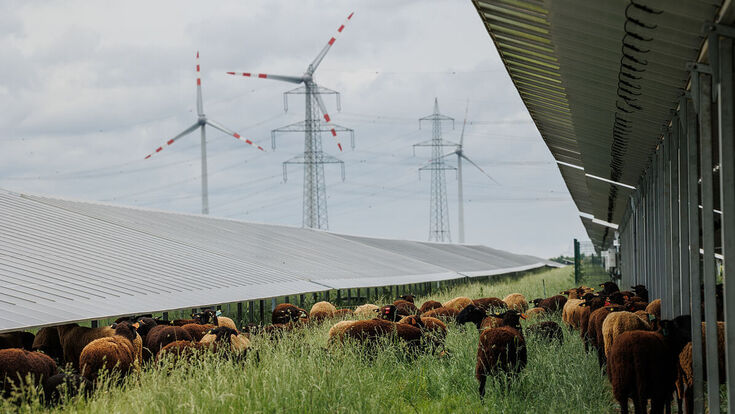 In Nickelsdorf realisiert Püspök das aktuell zweitgrößte Super-Hybrid-Kraftwerk Europas.