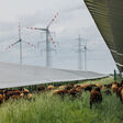 In Nickelsdorf realisiert Püspök das aktuell zweitgrößte Super-Hybrid-Kraftwerk Europas.